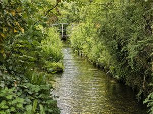 View of Brook- click for photo gallery